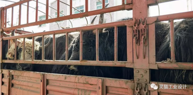 获奖设计师心得体会: